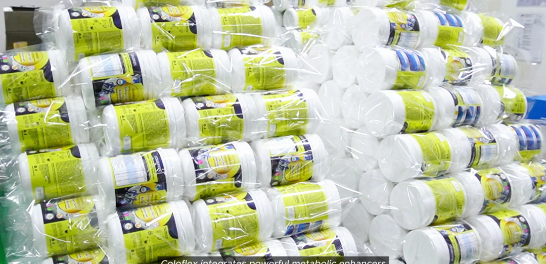 ColloFlex tubs prepared and shrink-wrapped during final processing